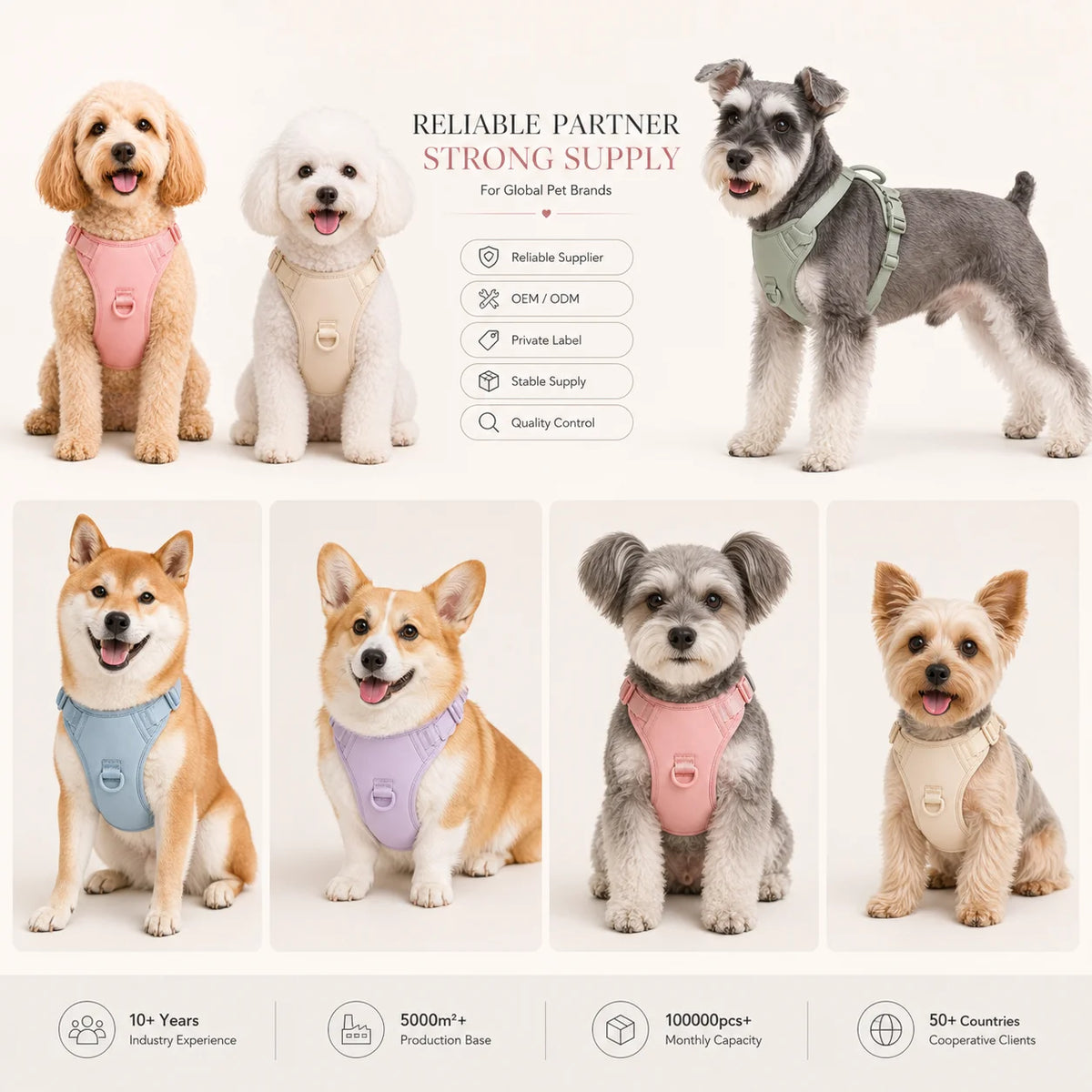 Breathable Padded Mesh Dog Harness