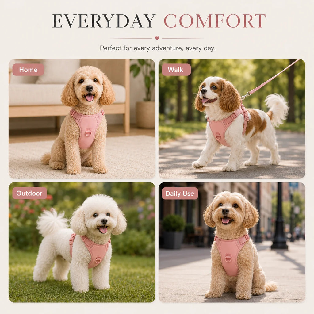 Breathable Padded Mesh Dog Harness