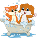 Grooming